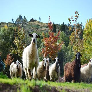 Отель Quinta Da Mata Шавиш Экстерьер фото